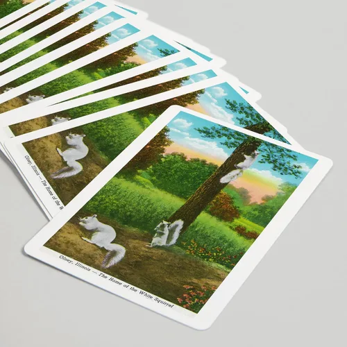 Vista 5 de Olney, Illinois, vista del hogar de las ardillas blancas (52 cartas de juego, baraja de cartas de tamaño póquer con comodines)