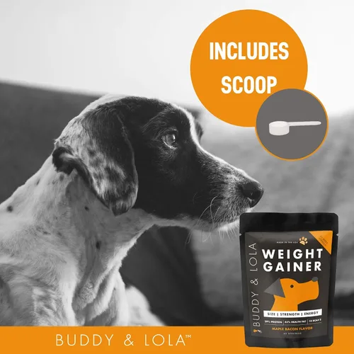 Vista 5 de Buddy & Lola Ganador de peso para perros – Suplemento para perros para aumento de peso – Polvo de Protien para perro para Max Muscle Builder