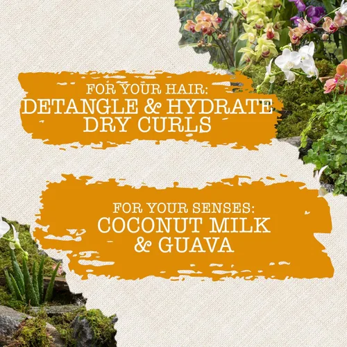 Vista 3 de Maui Moisture Acondicionador nutritivo y humectante + leche de coco para hidratar y desenredar el cabello rizado, acondicionador hidratante diario