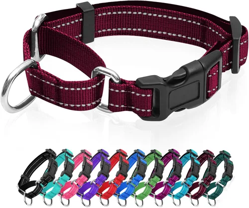 Vista 8 de Collares de perro Martingale reflectantes. Collar de perro con hebilla de liberación rápida. Collar de mascota de nylon ajustable, suave, acolchado