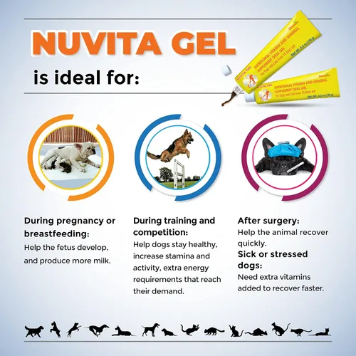Vista 2 de Gel nutricional y vitamínico prémium para perros y gatos, mejora la salud, aumenta el apetito y energiza. Adecuado para todas las razas y etapas