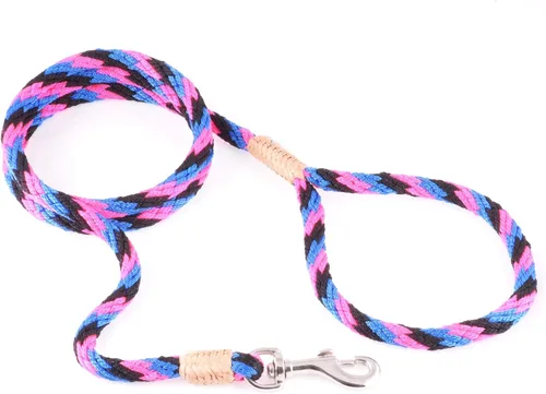 Vista 228 de Alvalley Correa para perros estilo broche – Correa de nailon estilo broche para perros – Fácil de manejar – Perfecto para perros pequeños, medianos
