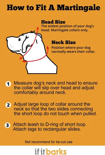 Vista 3 de If It Barks Collar Martingala reflectante de 1" para perros, ajustable, fabricado en Estados Unidos, pequeño, oro amarillo Amarillo Oro
