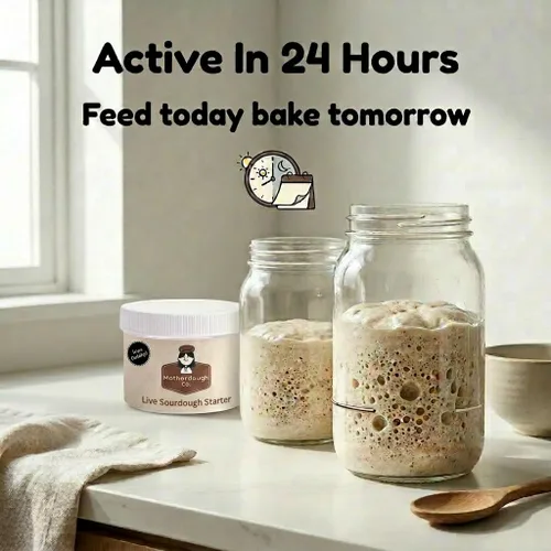 Vista 5 de Motherdough Co. - Iniciador de masa madre - Cultivo iniciador de masa agria antigua y madura viva, fresca y activa, el mejor iniciador de pan