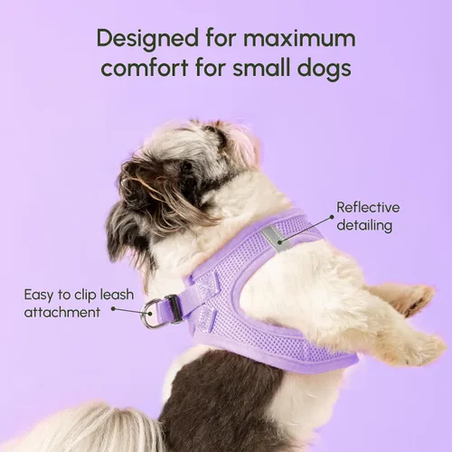 Vista 183 de Downtown Pet Supply Arnés para perro Step-in – Sin tirones, malla acolchada ajustable con ribete reflectante, correa de hebilla segura – Arnés