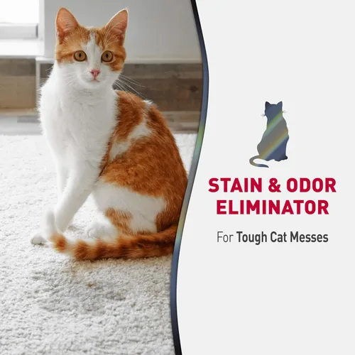 Vista 9 de Nature's Miracle Cat Orine Destroyer Plus 1 galón y Spray eliminador de manchas avanzado para gatos, 32 onzas líquidas