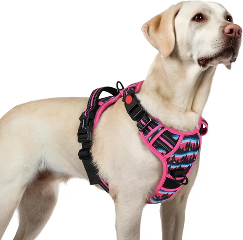 Vista 50 de Rabbitgoo - Arnés para perro de tamaño pequeño, arnés para mascotas sin tirones con 3 hebillas, chaleco acolchado suave ajustable con mango