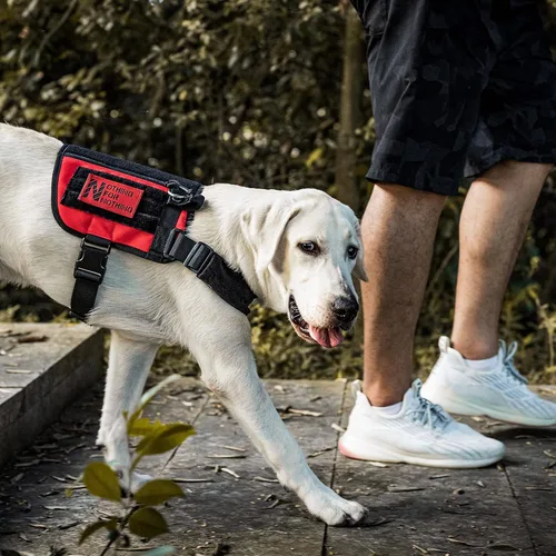 Vista 5 de OneTigris Chaleco para Perro de Servicio, Arnés Táctico para Perro UTX con Hebilla de Liberación Rápida, Correa de Cuello Removible Compatible