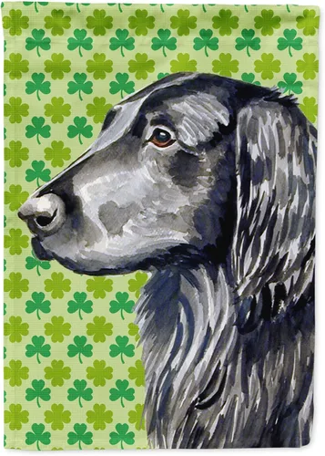 Vista 129 de Caroline's Treasures SS4442GF Affenpinscher Bandera de jardín con retrato de trébol del día de San Patricio para buzón, bandera decorativa