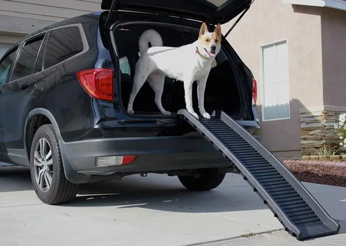 Vista 6 de PawStep 50524 Rampa plegable portátil para mascotas, 61", color negro