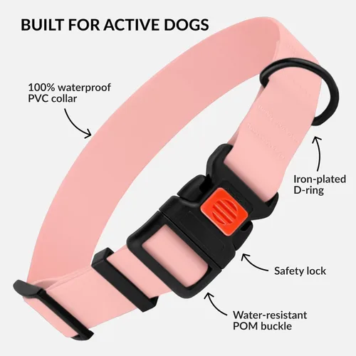 Vista 2 de CollarDirect Collar de perro impermeable – Silicona, plástico, resistente al olor, fácil de limpiar, para perros pequeños, medianos y grandes