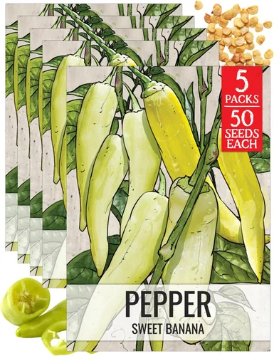 Vista 85 de Seed Needs - Semillas de pimiento arcoíris para plantar verduras, 1 paquete