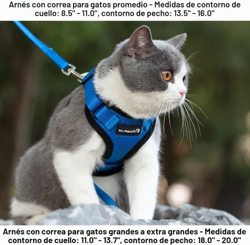 Vista 3 de Mr. Peanut's PurrTrek Arnés reflectante para gatos con correa a juego (extra pequeño, azul)