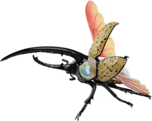Vista 4 de Modelo de anatomía de escarabajo 4D, 22 modelos de anatomía de insectos removibles modelos de enseñanza de biología, modelo de órgano de insectos