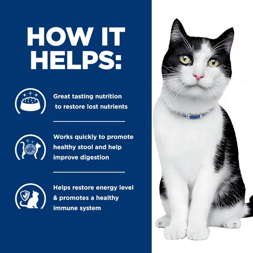 Vista 5 de Hill's Prescription Diet i/d Digestive Care with Chicken Wet Cat Food, dieta veterinaria, latas de 5.5 onzas, paquete de 24