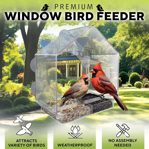 Vista 5 de Premium Window Bird Feeder for Outside - Clear Bird House w/Largest Window for Viewing Birds - Easy to Install & Sturdy Feeder w/Extra Strong
