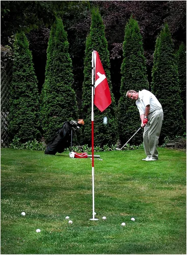 Vista 2 de ProActive Sports Poste de acero para bandera de patio trasero y copa de golf