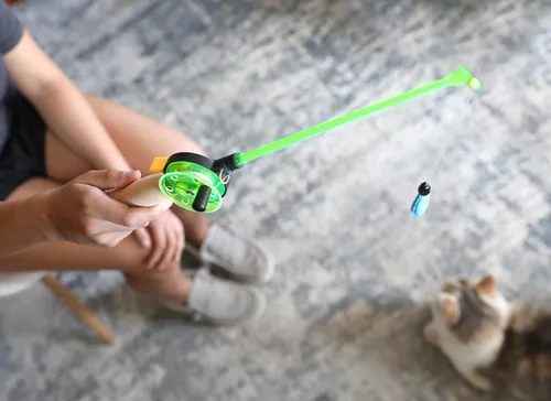 Vista 2 de OurPet's Go Fish - Caña de pescar para gatos con hierba gatera