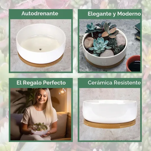 Vista 4 de BambooMN Macetas de cerámica para suculentas, 1 maceta, cuenco redondo, con bandeja de bambú, color blanco, 6.49 pulgadas