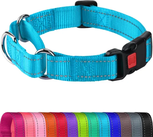 Vista 14 de Joytale Collar Martingale para perros, reflectante resistente para mayor seguridad, hebilla de liberación rápida, collares de nailon ajustables