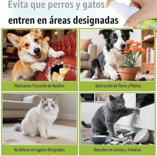Vista 3 de Spray de manzana amarga para que los perros dejen de masticar, disuasorio de entrenamiento antimasticable para muebles, zapatos y alambres, fórmula