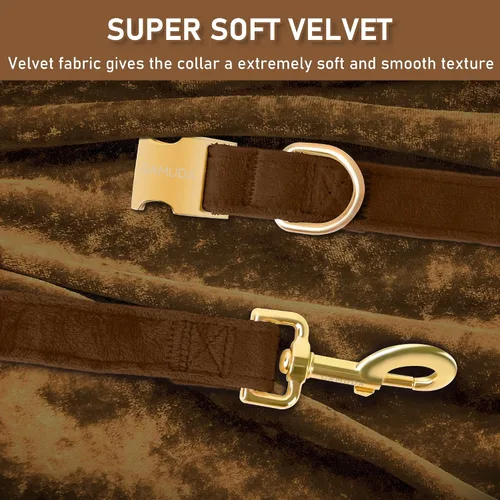 Vista 4 de GAMUDA Collar y correa de terciopelo para perro, súper suave y liso, hebilla dorada resistente, cómodo y fácil de limpiar, collar ajustable