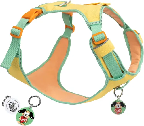 Vista 11 de Arnés para perro sin tirones a prueba de fugas para perros pequeños y cachorros, chaleco ligero ajustable con clip frontal y trasero, bolsillo
