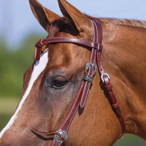 Vista 6 de Schneiders Double S Latigo Lined Futurity Browband Headstall Premium Horse Headgear Soft Latigo Lining Adjustable Size Durable Harness