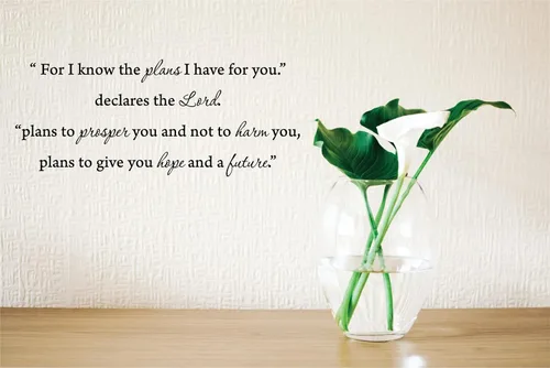 Vista 2 de Decalgeek vinilo de pared con frases inspiradoras (22,5 x 20,3 cm) color negro