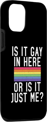 Vista 3 de iPhone 15 ¿Es gay aquí o es solo yo Bisexual Gay Pride Case
