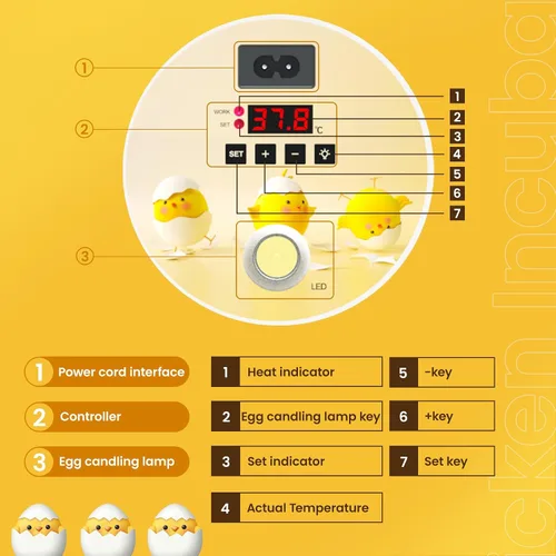 Vista 7 de 18 incubadoras de huevos para incubar huevos, volteador automático de huevos y probador de velas de huevos, vista de 360 grados, incubadora