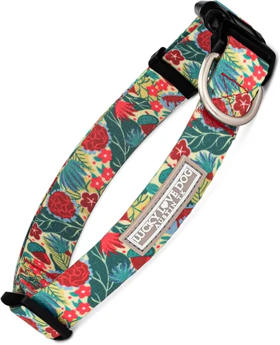 Vista 56 de Lucky Love Dog - Collar de perro ajustable con hebilla de fácil clic para los pequeños, duradero y cómodo para perros machos y hembras, collar