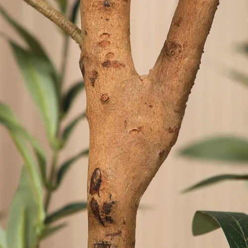 Vista 6 de Kazeila - Árbol de olivo artificial de 5 pies de alto, planta de seda falsa para decoración del hogar, oficina, interior, árbol en maceta falsa