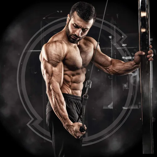 Vista 7 de PMD Sports Ultra Pump Fuel Insanity - Pre entrenamiento - Limonada rosa (30 porciones) Sports Omega Cuts Elite Thermogenic Fat Burner