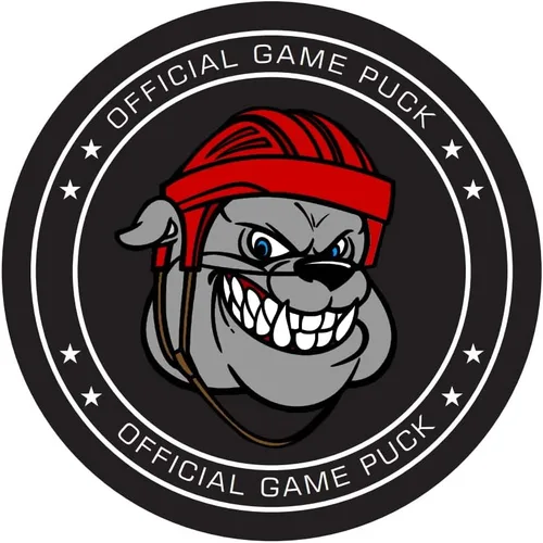 Vista 2 de Discos de hockey con logotipo de equipo personalizado