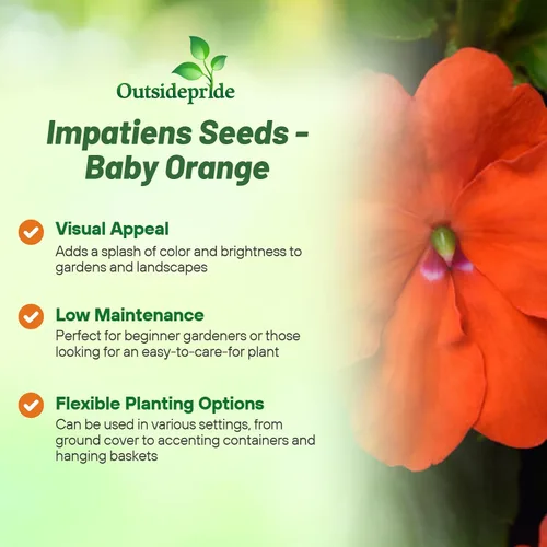 Vista 3 de Outsidepride 1000 Semillas Impatiens Baby Orange Shade Garden Flower Seeds para plantar
