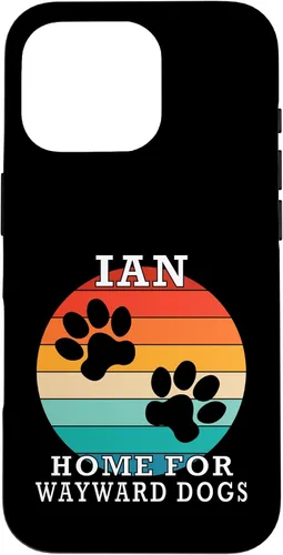 Vista 20 de Ian Home for Wayward Dogs Family Name Case for iPhone 17
