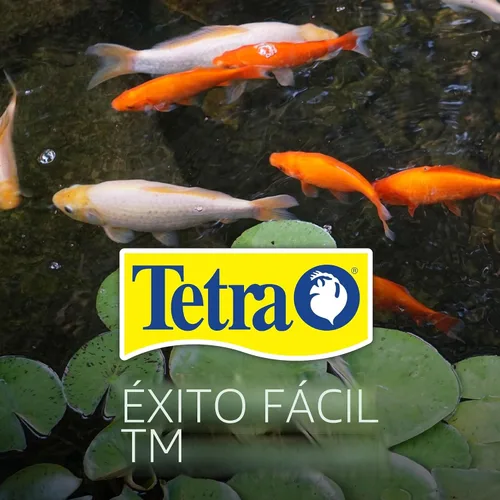 Vista 10 de Palos de estanque TetraPond, alimento para peces de estanque, para peces dorados y Koi, 1.72 libras Healthy Daily Diet For All Pond Fish, Easy To