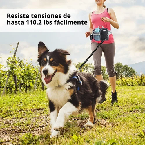 Vista 7 de ETACCU Correa de perro manos libres con bolsa para teléfono, soporte