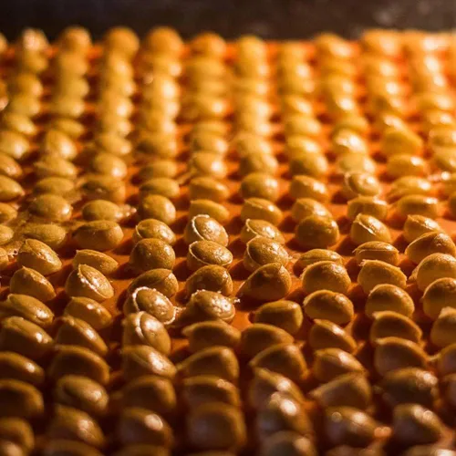 Vista 7 de CANDeal 2 moldes redondos de silicona de 936 cavidades, molde de gotas de chocolate, molde para golosinas para perros, moldes de caramelos de gomita