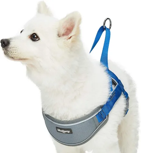 Vista 8 de Blueberry Pet Arnés morado para perro, tamaño mediano, arnés para perros pequeños, arnés para cachorros, chaleco de nailon reflectante, ajustable