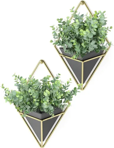 Vista 8 de Rinlong - Plantas para el exterior y flores mixtas