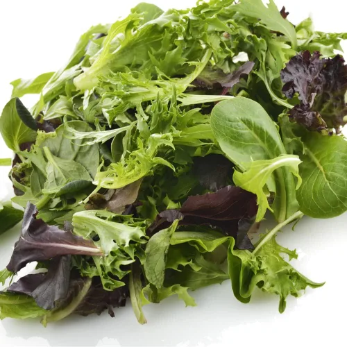 Vista 2 de Mezcla de ensalada: 10 variedades de lechuga, espinaca, col rizada, rúcula con más de 6000 semillas sin OMG