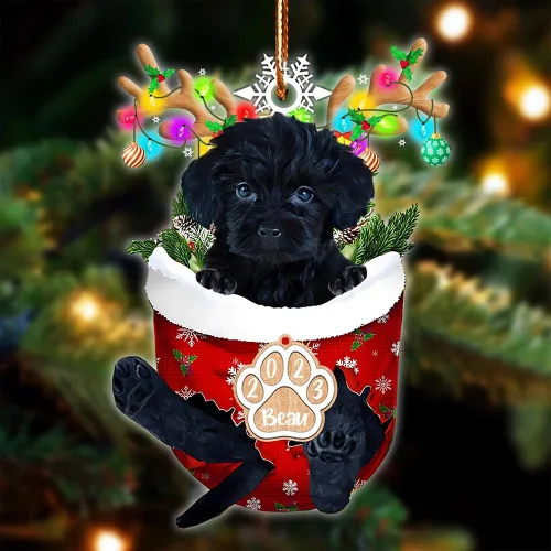 Vista 108 de NAZENTI Adorno Navideño de Bolsillo Personalizado de Affenpinscher en la Nieve, Adorno de Forma Acrílica de Perro, Adorno de Navidad 2023, Adorno
