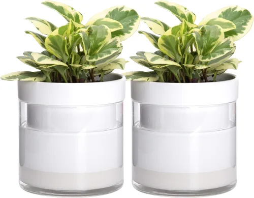 Vista 12 de Phoenix Vine Maceta de riego automático de 4 pulgadas, maceta de arcilla de terracota con depósito de vidrio para plantas de interior, hierbas