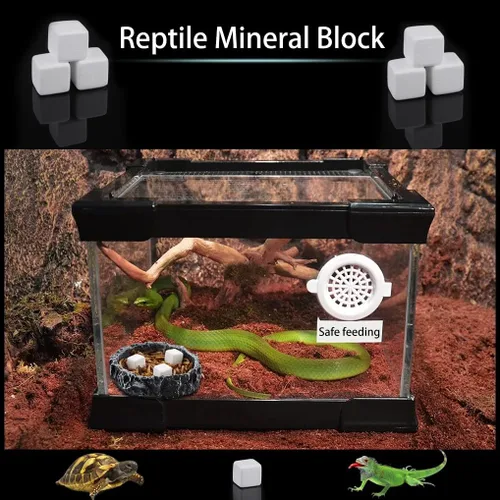 Vista 2 de DQITJ 18 piezas de piedra de calcio para reptiles pequeños, minerales de calcio natural para reptiles, tortuga, tortuga, lagarto, rana, camaleón