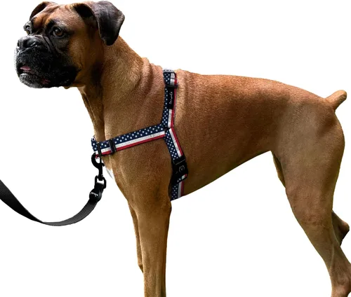 Vista 9 de ShawnCo Dream Walk Arnés para Perros Sin Tirones - Ajustable, Cómodo, Fácil de Usar, Cabestro para Mascotas para Ayudar a Detener los Tirones