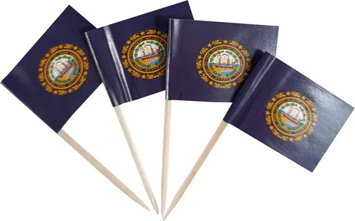 Vista 25 de JBCD Bandera de palillo de dientes de Arkansas Mini Banderas pequeñas para cupcakes de Arkansas, 100 piezas