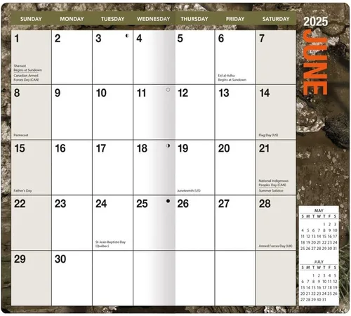 Vista 3 de TURNER LICENSING Realtree 2025 - Planificador de dos años - PF (25998161228)