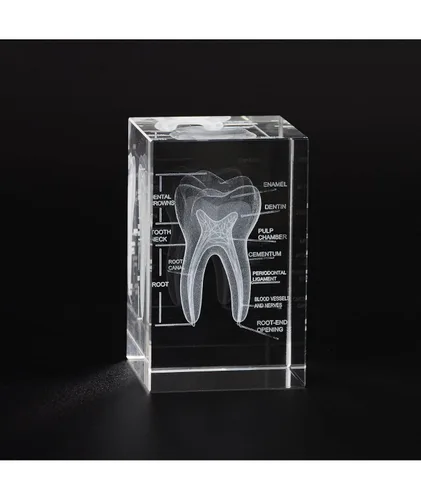 Vista 8 de Ultrassist Modelo 3D de Pulmón Humano de Cristal, Modelo Anatómico Grabado Láser para Decoración de Hogar y Oficina, Regalos para Neumólogos